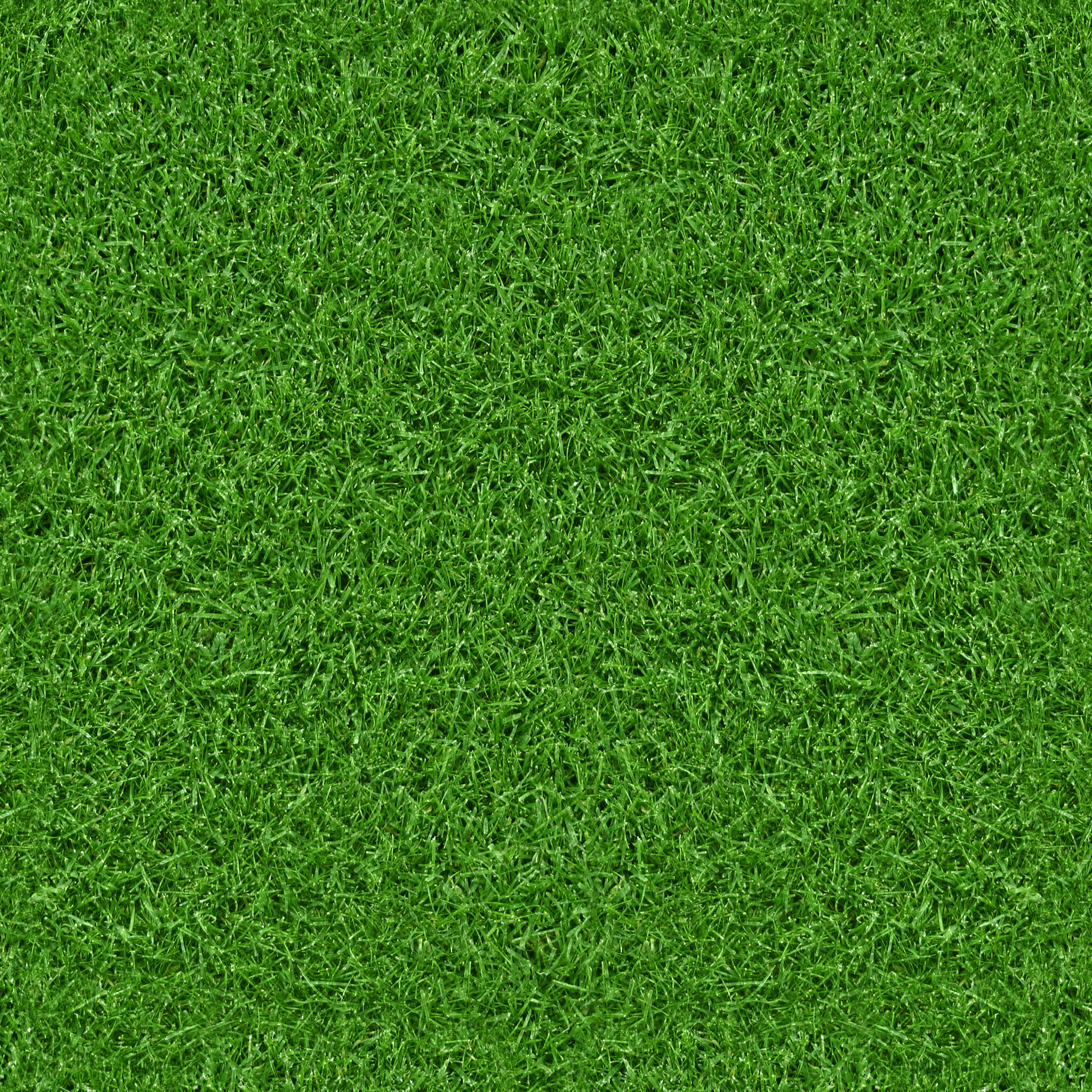 All 101+ Images design-image-photo-green-grass Excellent