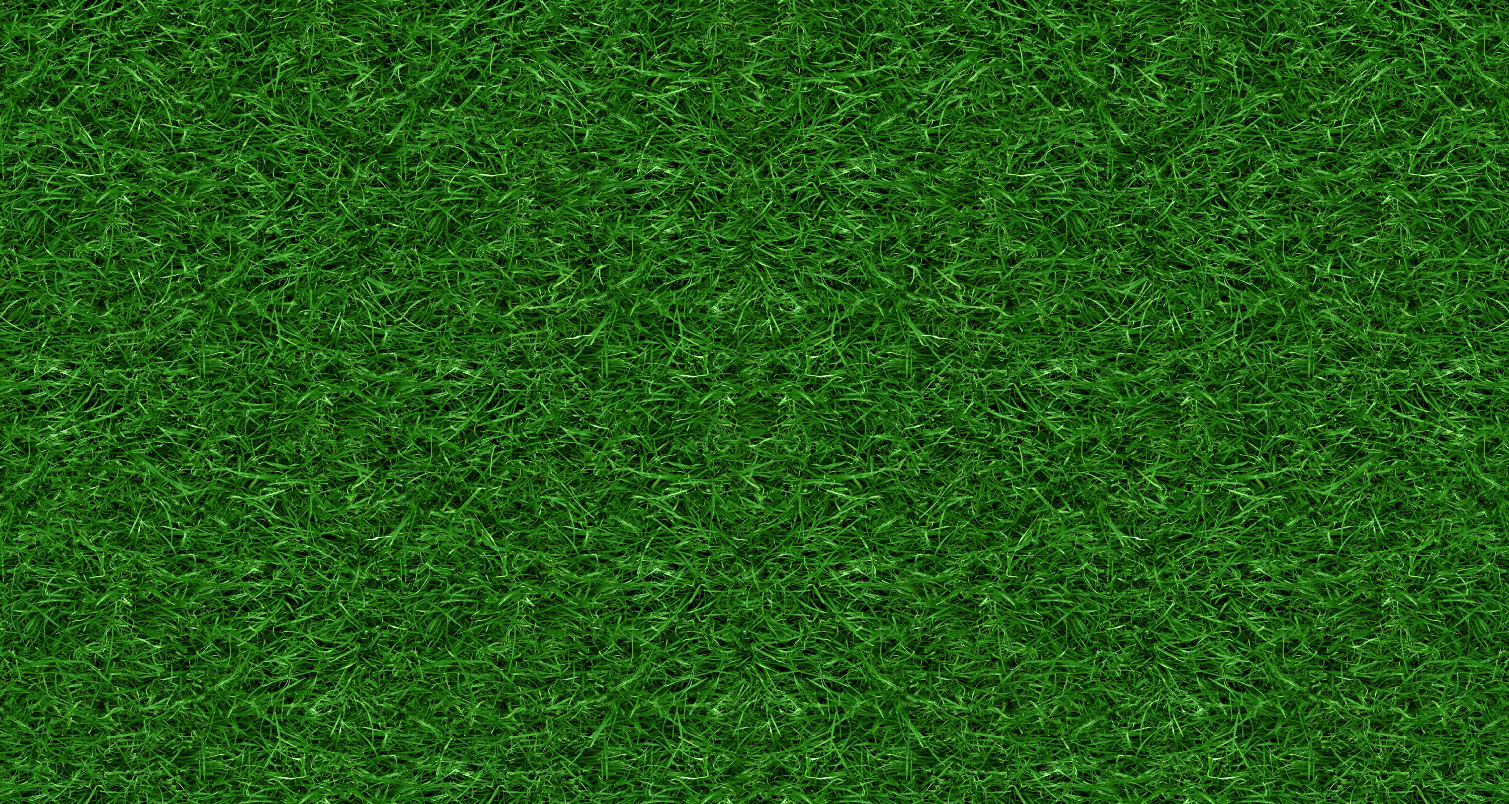 Green Ground Texture