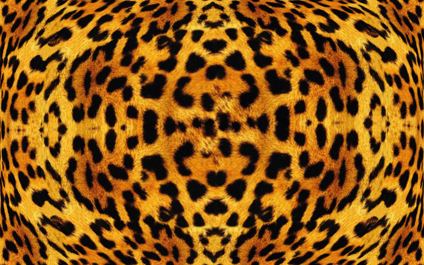 African Leopard Texture