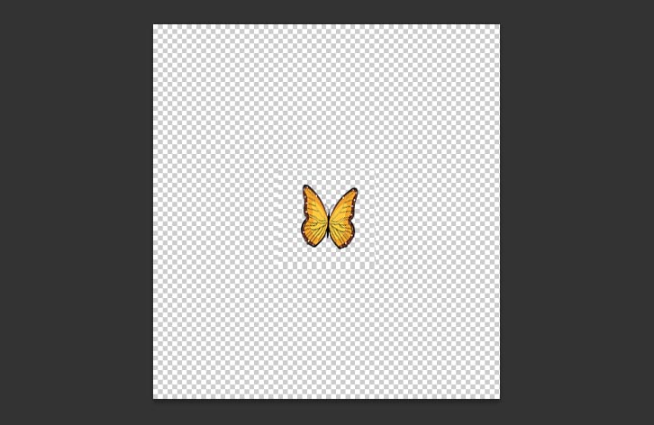 Animated-Butterfly-in-Photoshop-1