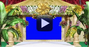 Wedding Background Video in Full HD