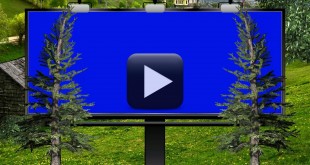 Wedding Backgrounds HD-Billboard with Blue Screen