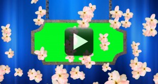 Wedding Video Background-Animated Flowers Falling