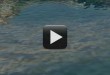 Flowing Water Animation Background - Stock Background Video Loop