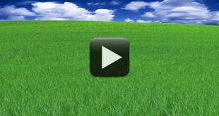 Beautiful Nature Grass Animation Background