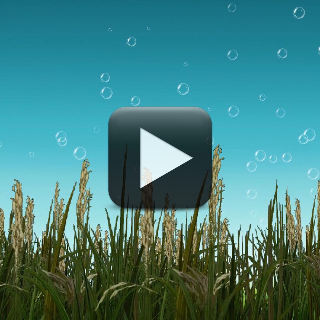 Moving Animation Background