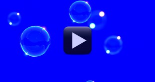 Bubbles Animation Video Background-Blue Screen Video