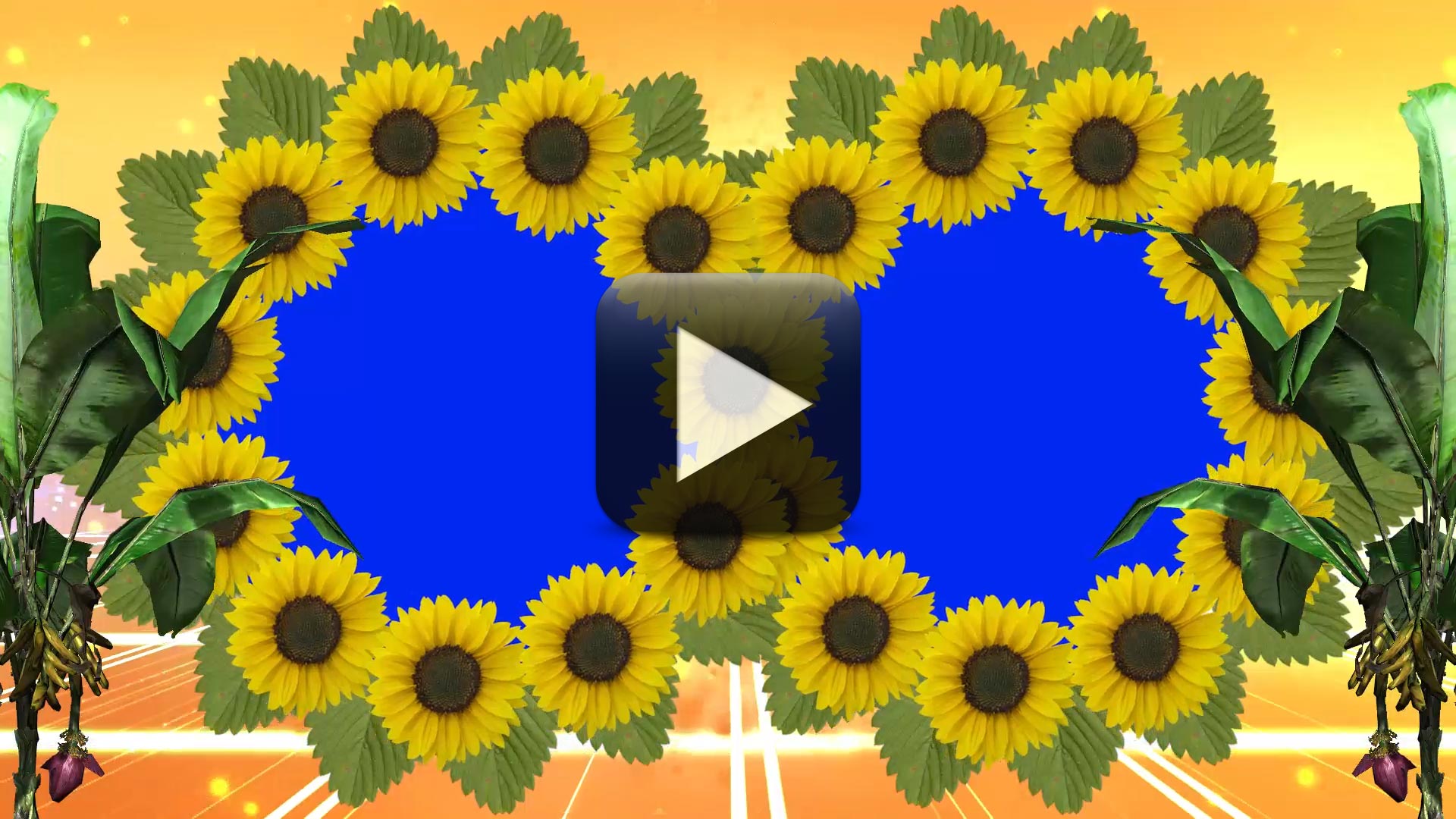Free Download-Wedding Motion Graphics Background Free Download-Wedding Motion Graphics Background