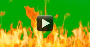 Fire Green Screen Free Download