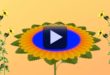 HD 1080p-Wedding Flower Animation Background video