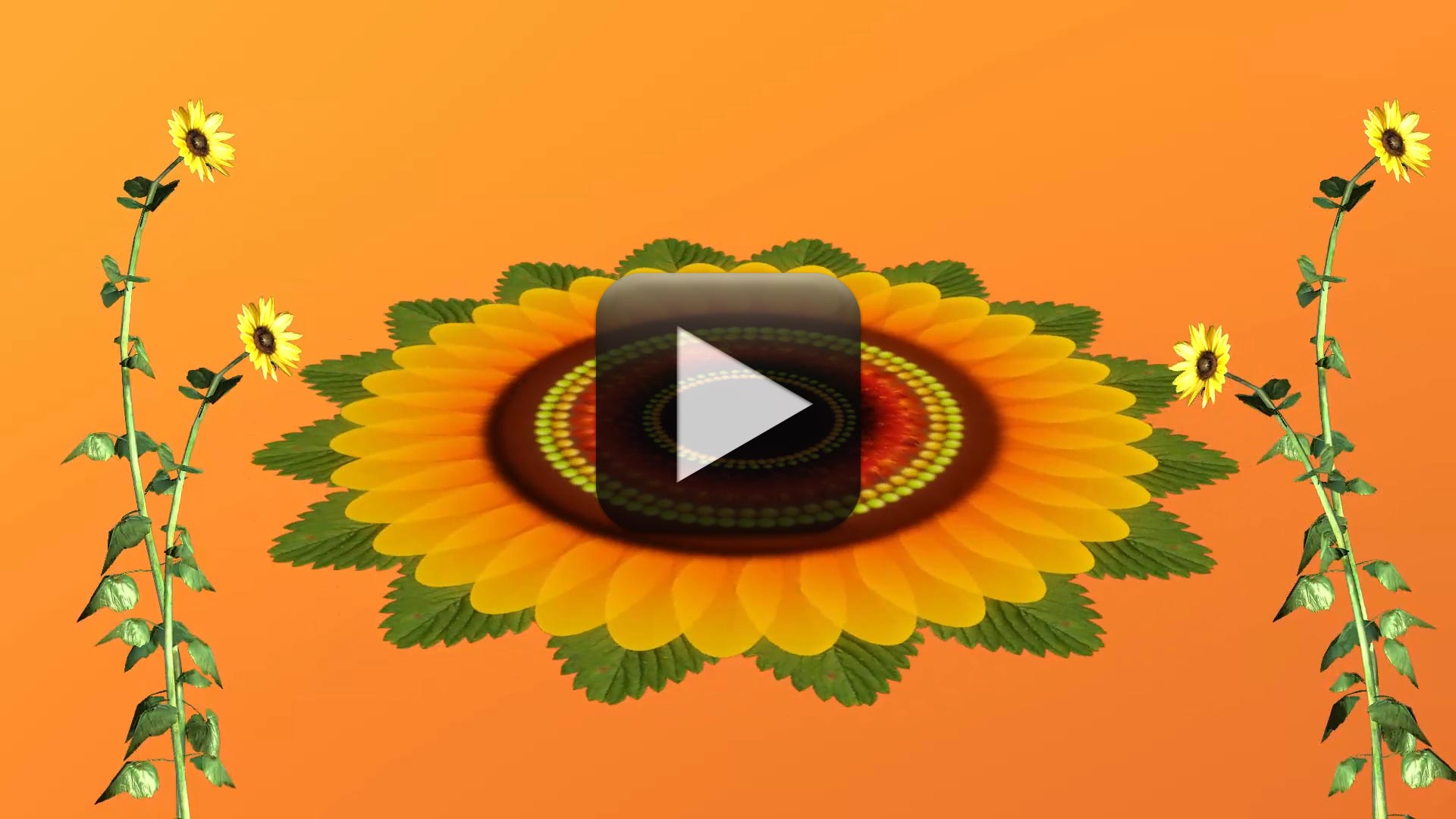 Flowers Animation Video Free Download | All Design Creative