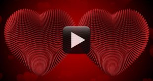 Free Download HD Heart Wedding Album Frames Background