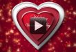 Happy Valentine Day Wishes Video Background Free Download