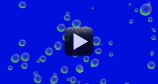 Free Oil Bubbles Background Video-Blue Screen
