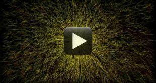 Free Video Background - Abstract Lines Video Loops