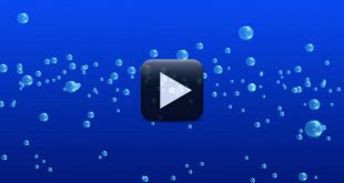 Free Bubbles Background Video