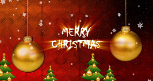 Merry Christmas Greeting Video Download