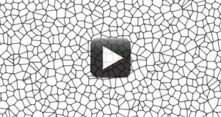 Seamless Pillow Cell Pattern Animated Background Video