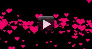 Free Love Motion Graphics Background HD