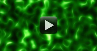 Moving Bacteria Animations Video Background