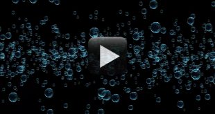 Water Bubbles Video Free Download