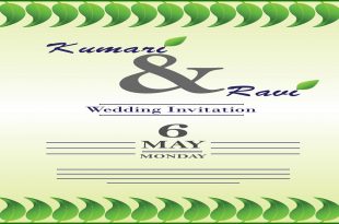 wedding invitation card cover vector thumb