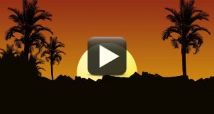 Sun Set HD Videos 1080p-Free Video Background