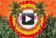 Wish You a Happy Sankranthi & Pongal Animated Background Video