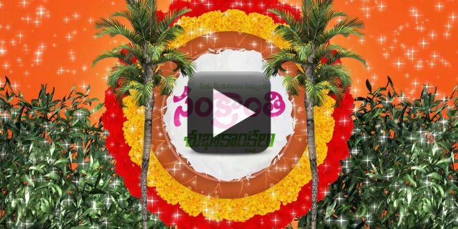 Wish You a Happy Sankranthi & Pongal Animated Background Video