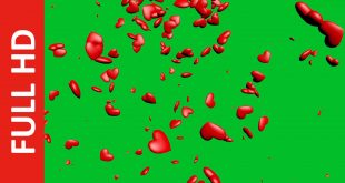 Falling Hearts Animation Green Screen In Free Download