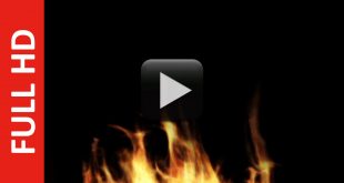 Free Fire Stock Footage HD | Black, Blue, Green, White Screen Video Effect