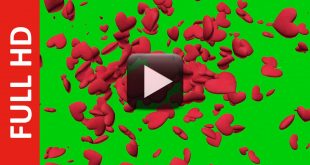 Heart Animation Green Screen Free Download