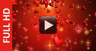 Animated Love Hearts Motion Effect Video