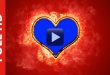 Burning Heart Fire Effect Wedding Motion Graphics in Blue Screen