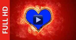 Burning Heart Fire Effect Wedding Motion Graphics in Blue Screen