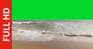 Free Download Ocean Waves Green Screen Effect at the Beach