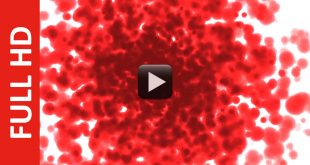 Splashing Blood Animated Video Background