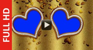 Gold Wedding Background Motion Video Effect