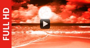 Sunrise Video Free Download