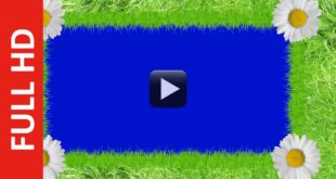 Grass Frame Animated Background