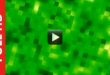 Green Moving Animated Backgrounds Royalty Free Footage