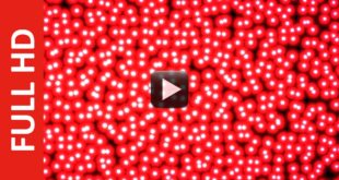 Motion White Dots Background in Red Stroke