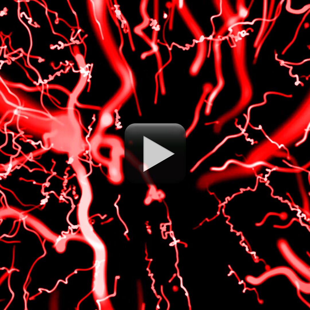 Motion Background Blood