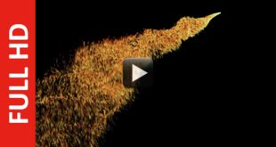 Moving Gold Particles Animation Free Download