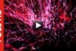 Blood Vessels Background Animation