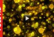 Glowing Yellow Bokeh Particles - Free HD Video Background Loop