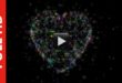 Love Shape Color Particles Heart Motion Graphics Animation for Valentine's Day