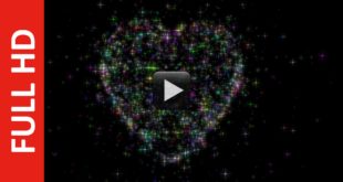 Love Shape Color Particles Heart Motion Graphics Animation for Valentine's Day