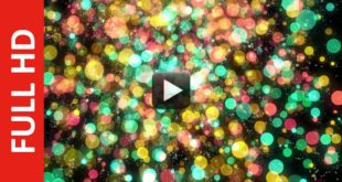 Multicolor Particle Bokeh Background Free HD Video