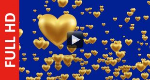 Gold Balloons Hearts Moving Up in Blue Background